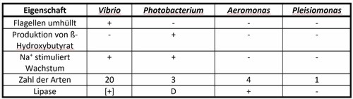 leuchtbakterien_tabelle-large.jpg